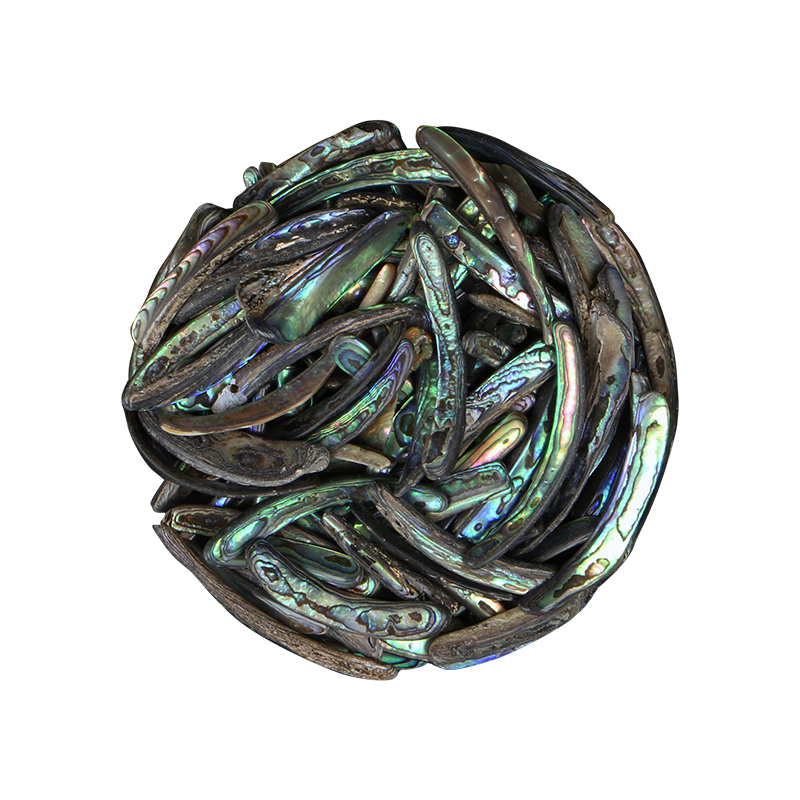 Paua Rims Pieces