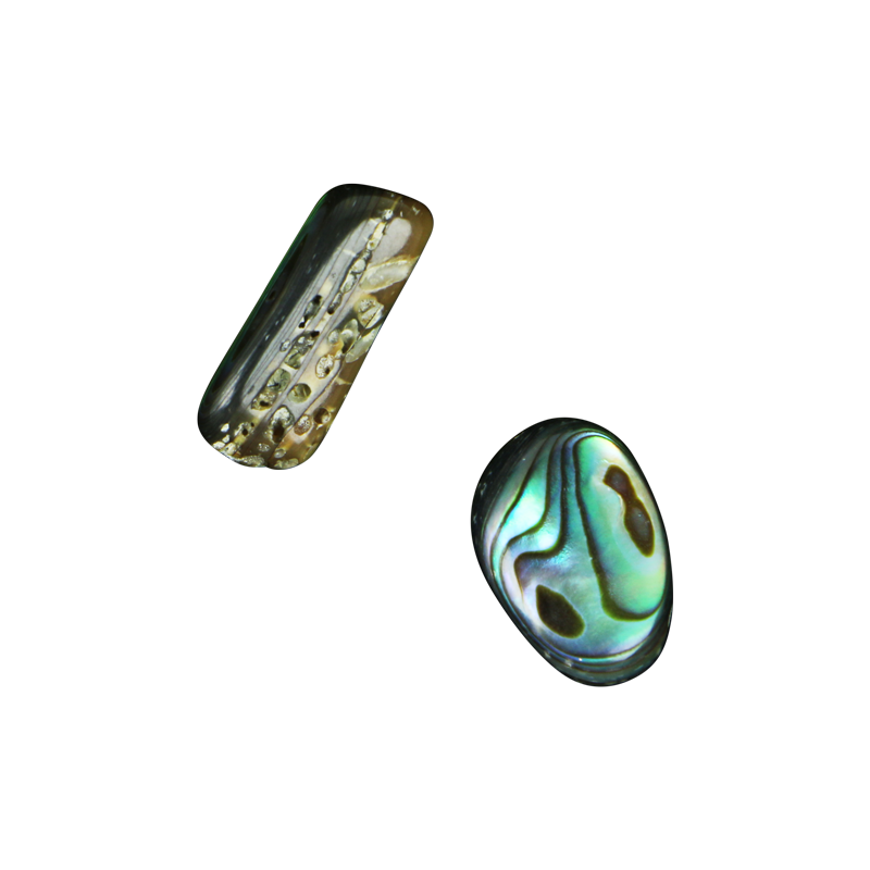 BPFL_7b7d5d68-c0eb-48d5-b8f6-a63fbfc324cb - SHELL BEAD - PAUA FREEFORM - 14MM (25 PCS) - OCEAN SHELL STUDIOS