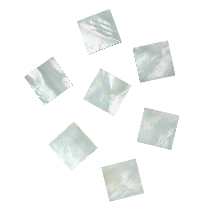 BWSFCN25 - WMOP WW - SQUARE - FLAT, CLEAN BACK, NOT POLISHED - OCEAN SHELL STUDIOS