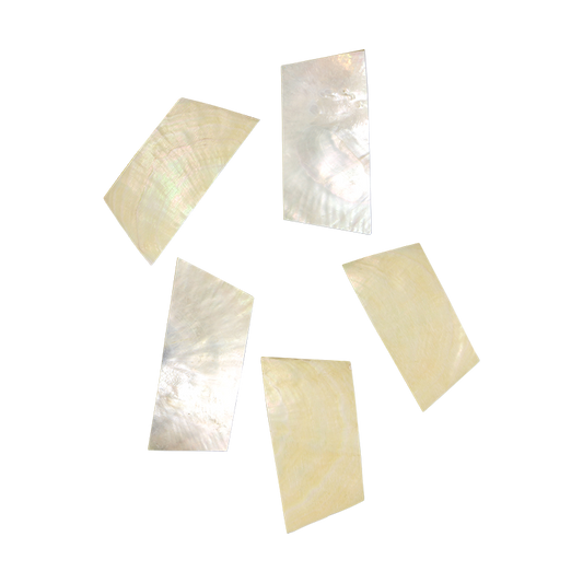 BWYRCCNL - WMOP WY - RECTANGLE - NATURAL CURVE, CLEAN BACK, NOT POLISHED - OCEAN SHELL STUDIOS