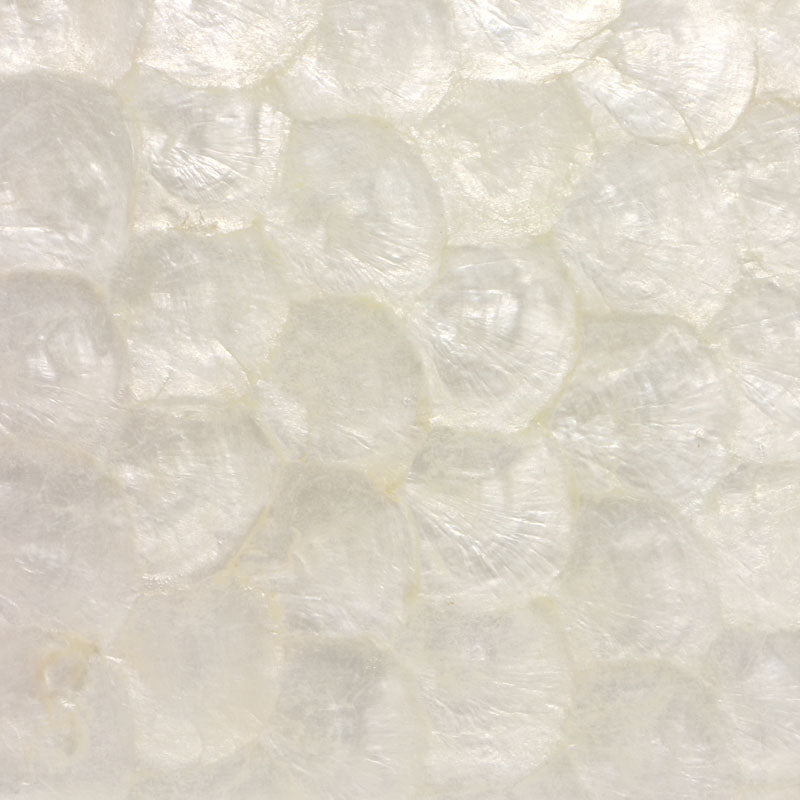 LCW200_04e6ec5b-56ca-4143-8315-41419dc0c312 - SHELL VENEER COATED - CAPIZ WHITE - OCEAN SHELL STUDIOS