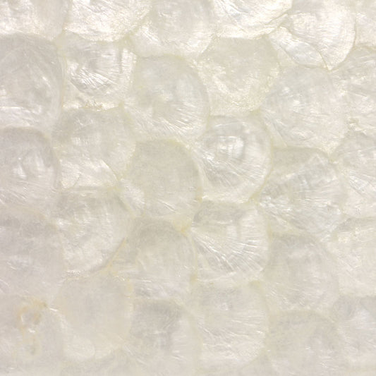 LCW200_04e6ec5b-56ca-4143-8315-41419dc0c312 - SHELL VENEER COATED - CAPIZ WHITE - OCEAN SHELL STUDIOS