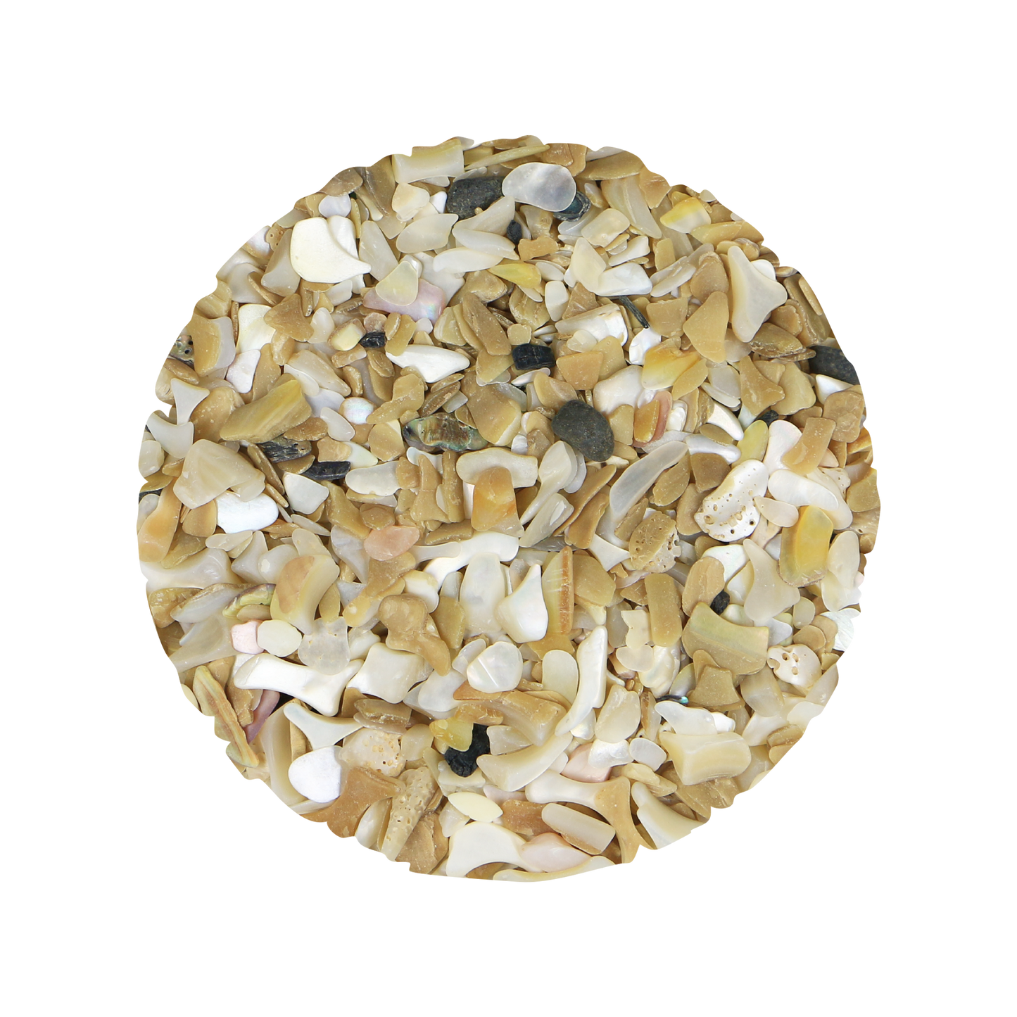 MOP_Shell_Pieces_fines_7c324e44-7b7f-4dc2-8d61-9b624a89c48e - SHELL PIECES MOP SATIN X-FINES - OCEAN SHELL STUDIOS