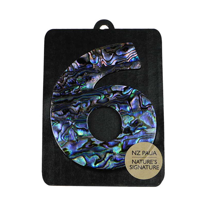 NPN6 - 6 - SIX PAUA VENEER NUMBERS - OCEAN SHELL STUDIOS
