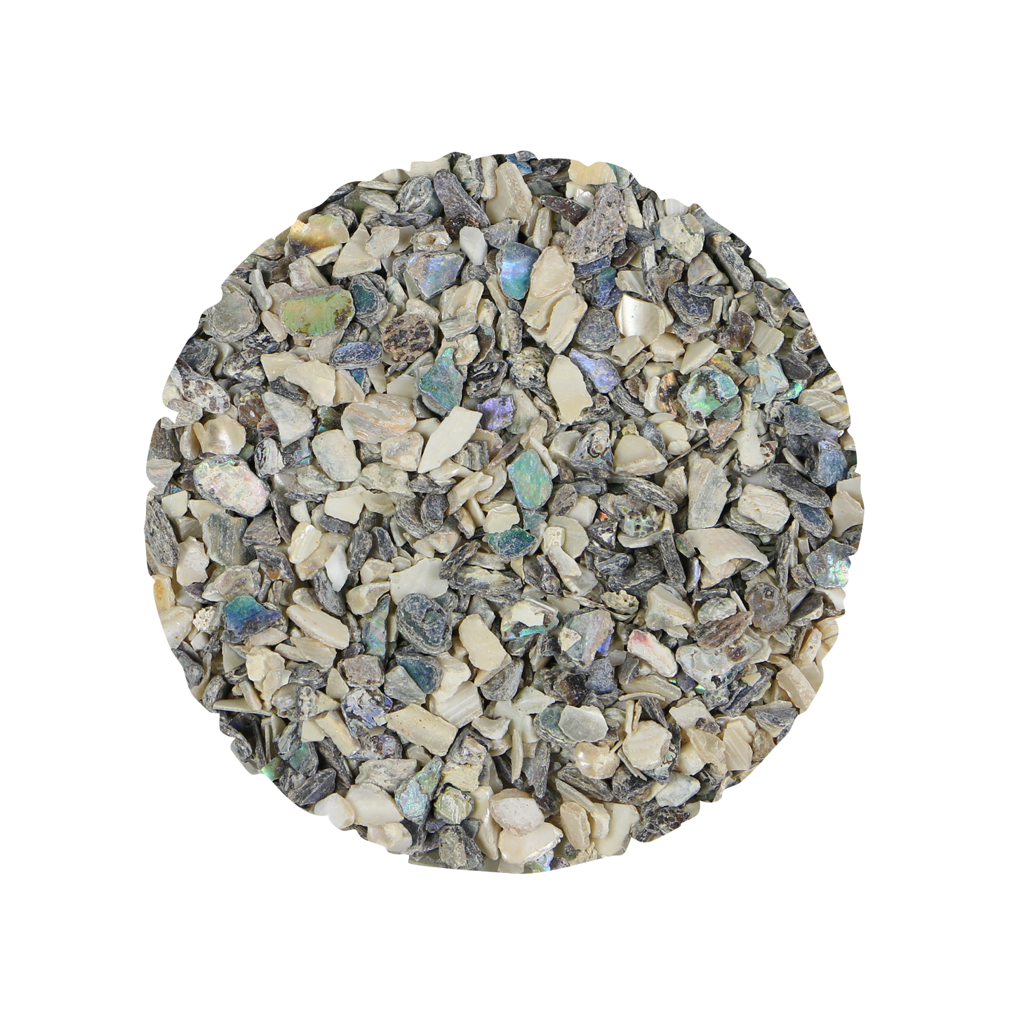 OSFAB - SHELL TERRAZZO CHIP - PAUA & MOP ABALONE MIXED - OCEAN SHELL STUDIOS