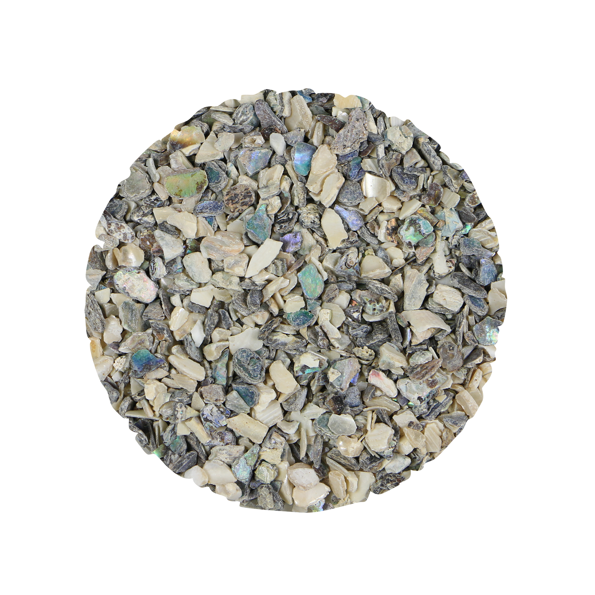 OSFAB - SHELL TERRAZZO CHIP - PAUA & MOP ABALONE MIXED - OCEAN SHELL STUDIOS