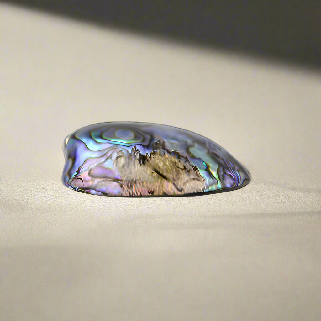 PAUA_GEM_SIDE - PAUA GEM - PACKAGED - OCEAN SHELL STUDIOS