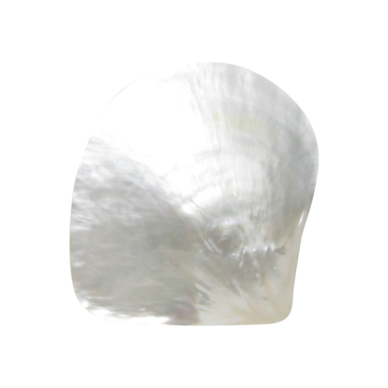 PLWTB - POLISHED SHELL - WHITE MOP - PETITE - BUFFED - OCEAN SHELL STUDIOS