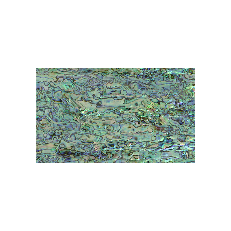 SC140PB1.0 - SHELL COMPOSITE UNCOATED - PAUA - 230*130*1.0MM - 3 PLY BLUE - OCEAN SHELL STUDIOS