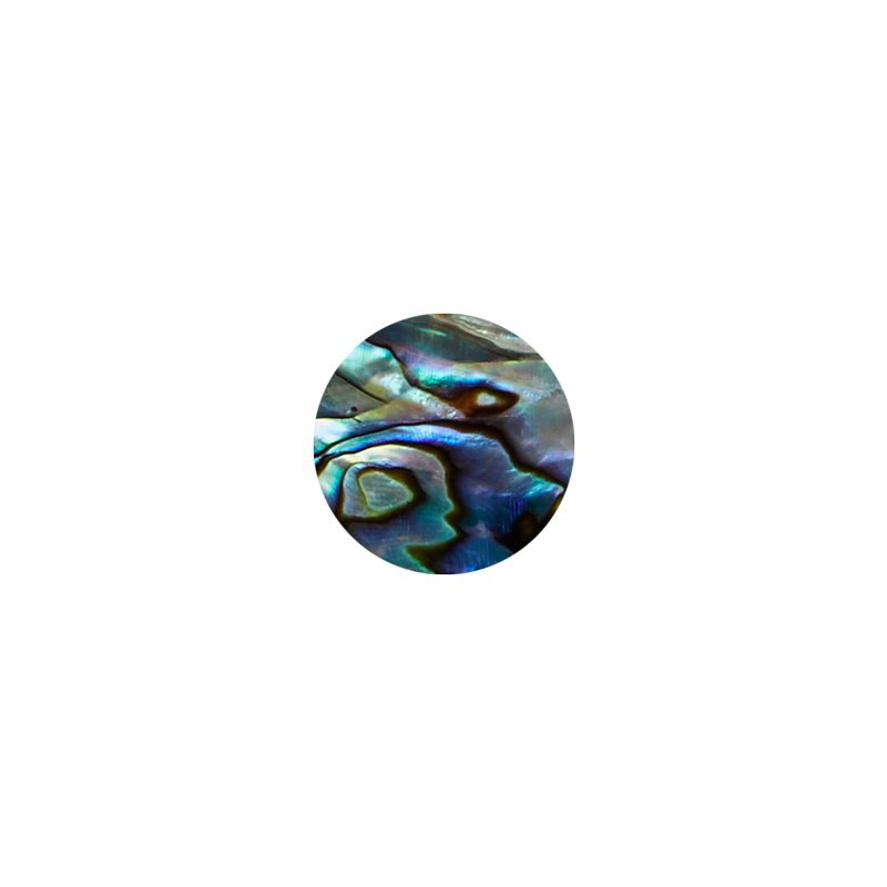 SVC18 - 18mm (15pcs) SHAPE PAUA - CIRCLE - OCEAN SHELL STUDIOS