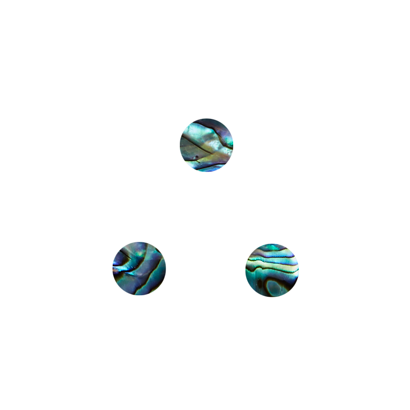SVC8 - 8mm (60pcs) SHAPE PAUA - CIRCLE - OCEAN SHELL STUDIOS