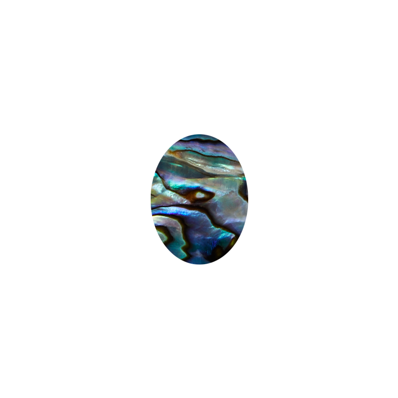 SVO15-20 - 15x20mm (15pcs) SHAPE PAUA - OVAL - OCEAN SHELL STUDIOS