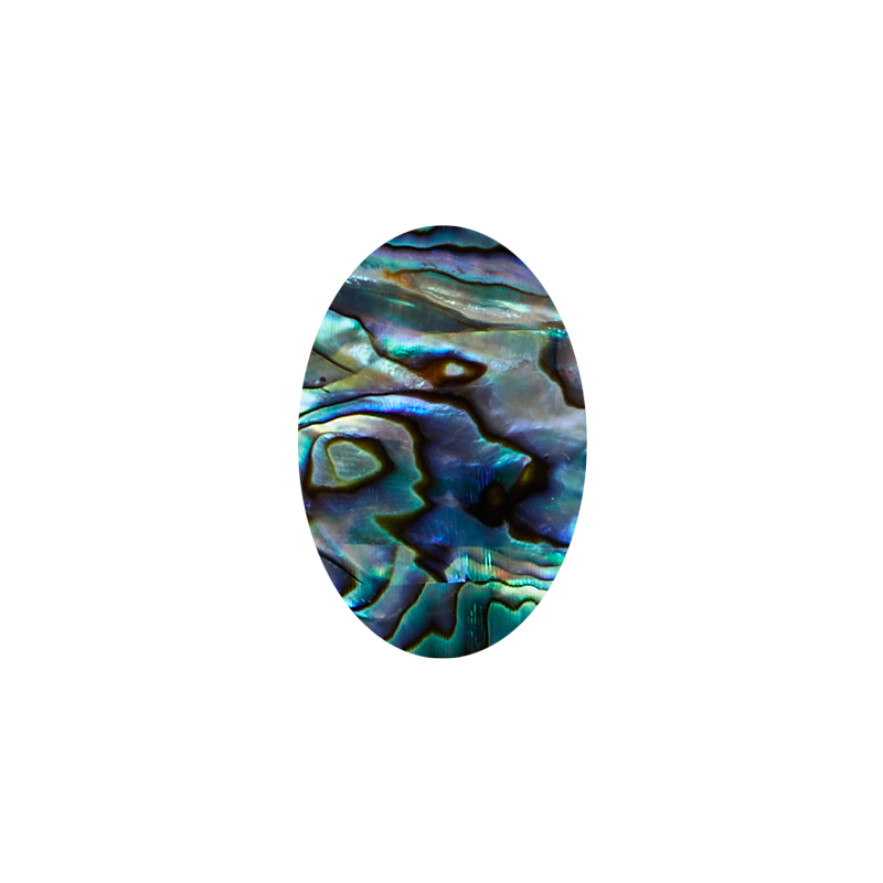 SVO20-30 - 20x30mm (15pcs) SHAPE PAUA - OVAL - OCEAN SHELL STUDIOS