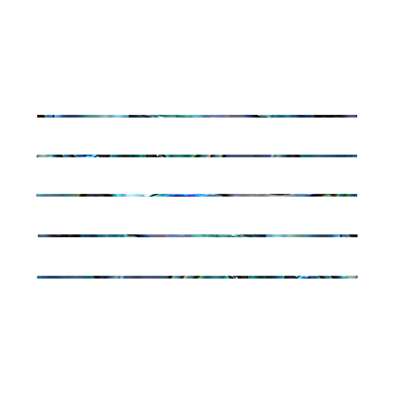 SVT2 - 2x230mm (15pcs) SHAPE PAUA - STRIP - OCEAN SHELL STUDIOS
