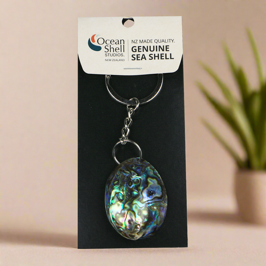 Shell_gem_Keychains_photoshop - PAUA GEM KEY RING - OCEAN SHELL STUDIOS