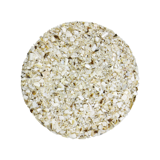 TCHF2 - SHELL TERRAZZO CHIP - F/W MOP - OCEAN SHELL STUDIOS