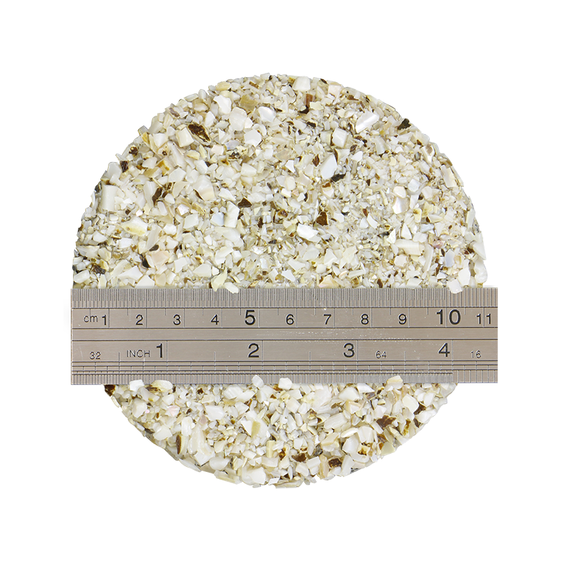 TCHF2_2 - 1kg SHELL TERRAZZO CHIP - F/W MOP - OCEAN SHELL STUDIOS