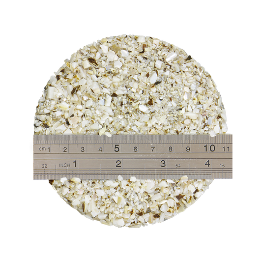TCHF2_2 - 1kg SHELL TERRAZZO CHIP - F/W MOP - OCEAN SHELL STUDIOS