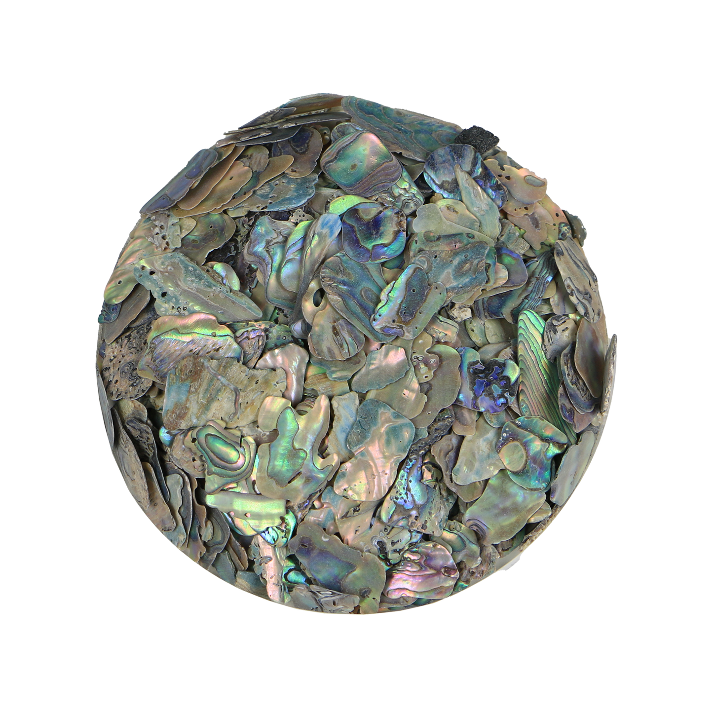 TCHP10 - SHELL TERRAZZO CHIP - PAUA - 8-12MM - OCEAN SHELL STUDIOS