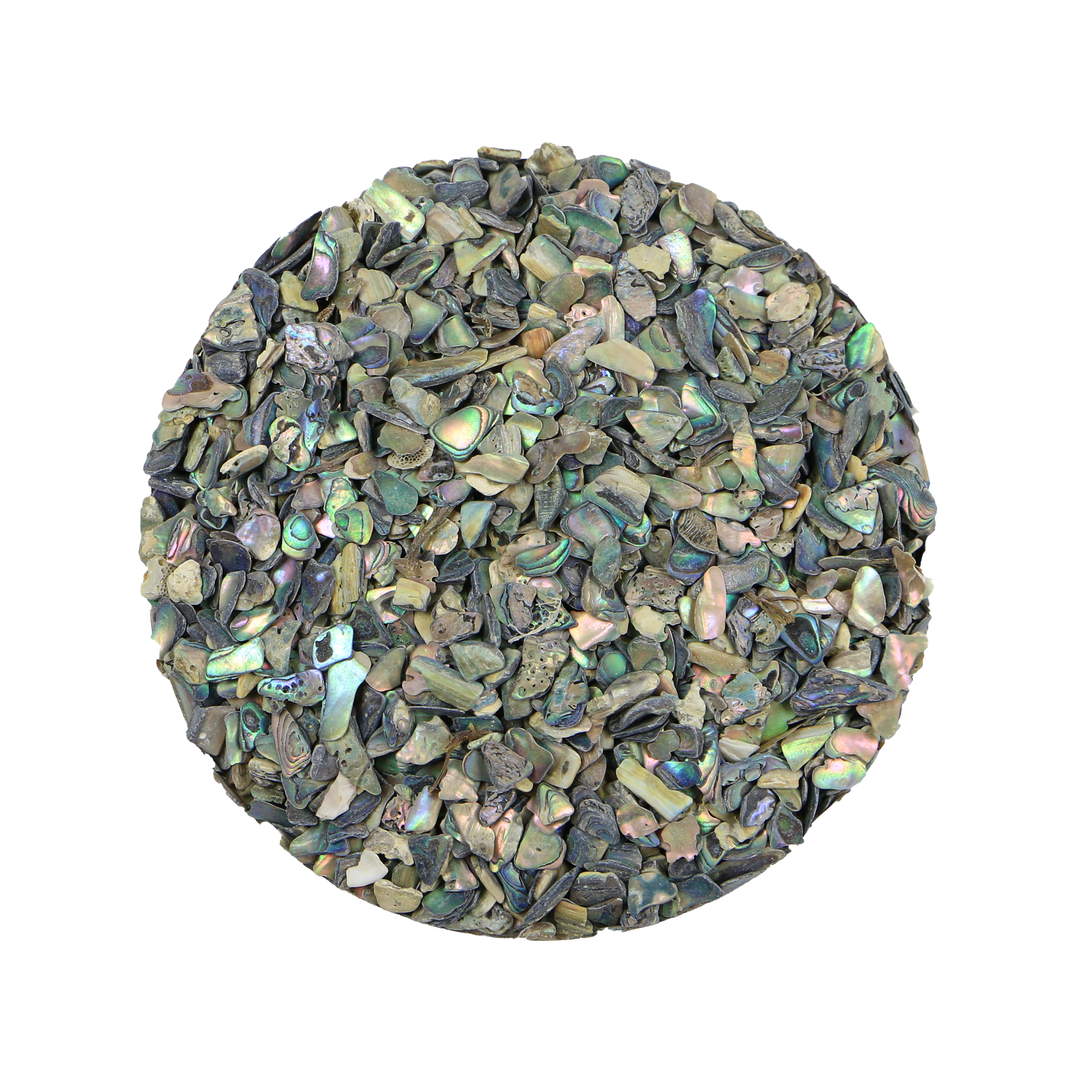 TCHP4 - SHELL TERRAZZO CHIP - PAUA - 3-5MM - OCEAN SHELL STUDIOS