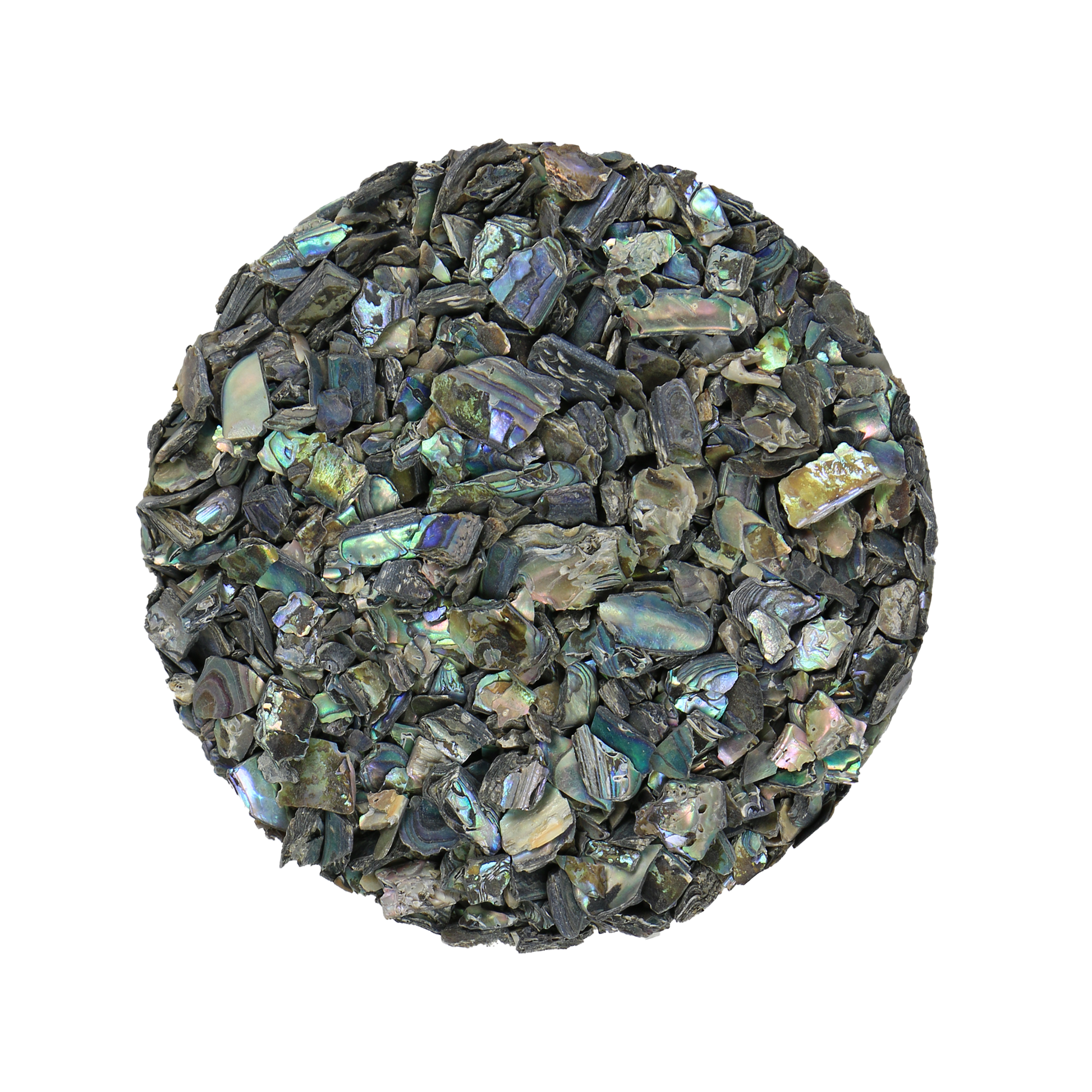 TCHPR - SHELL TERRAZZO CHIP - PAUA RIMS - OCEAN SHELL STUDIOS
