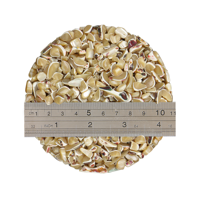 TCHT8_2_db826f82-999f-4397-8127-e551ad12aa6a - 1kg SHELL TERRAZZO CHIP - TROCHUS 5-9MM - OCEAN SHELL STUDIOS
