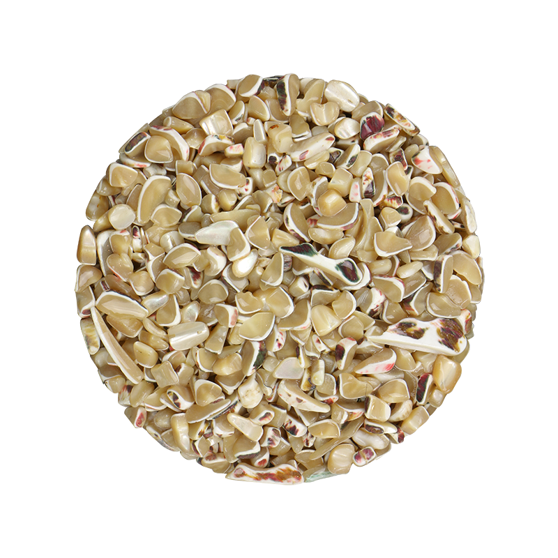 TCHT8_b140501a-71ed-482b-90bf-da05907c09b8 - SHELL TERRAZZO CHIP - TROCHUS 5-9MM - OCEAN SHELL STUDIOS
