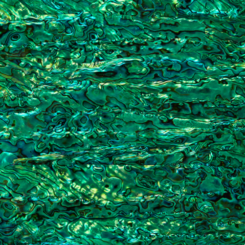 TG - SHELL VENEER TILE PAUA EMERALD GREEN - OCEAN SHELL STUDIOS