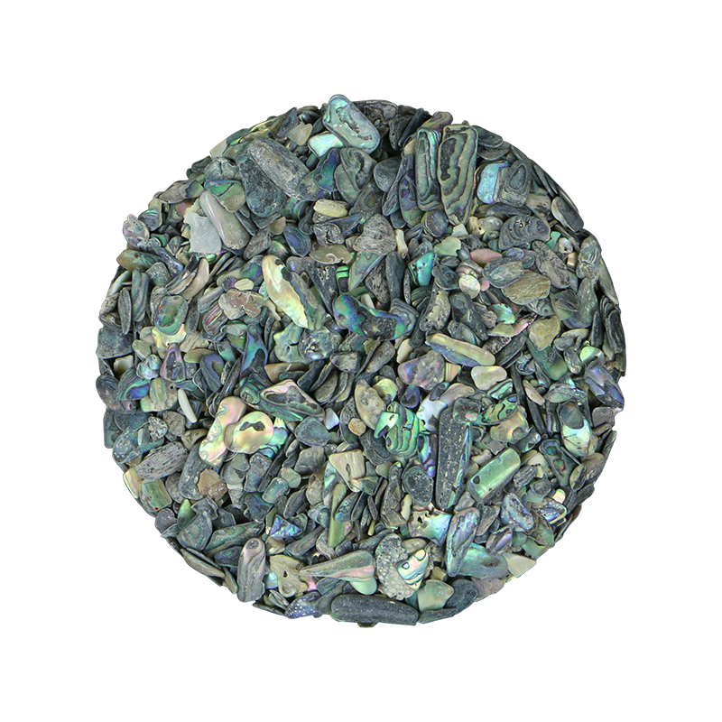 TPNXF - PAUA NATURAL X-FINES - OCEAN SHELL STUDIOS