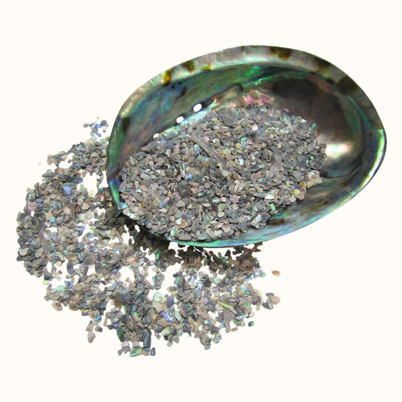 TPNXF_2 - PAUA NATURAL X-FINES - OCEAN SHELL STUDIOS