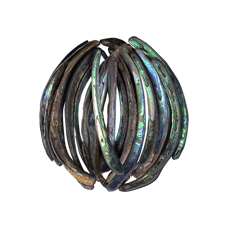 TPSRL - PAUA RIMS LARGE - OCEAN SHELL STUDIOS
