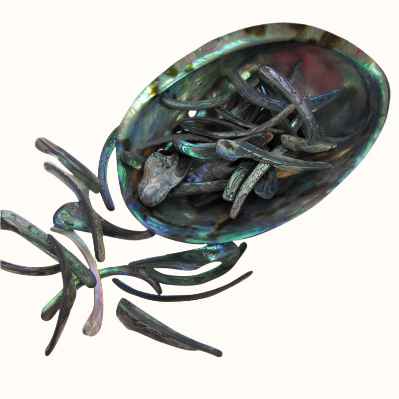 TPSRM - PAUA RIMS MEDIUM - OCEAN SHELL STUDIOS