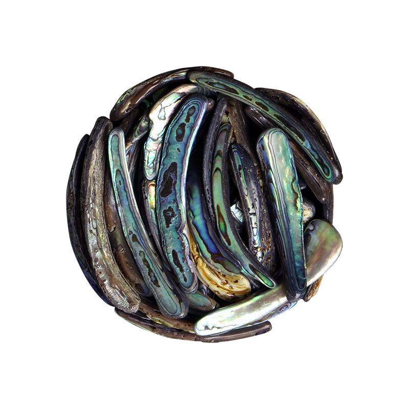TPSRM - PAUA RIMS MEDIUM - OCEAN SHELL STUDIOS