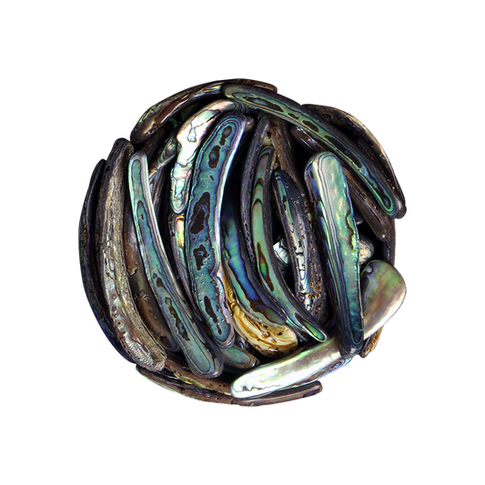 TPSRM - PAUA RIMS MEDIUM - OCEAN SHELL STUDIOS
