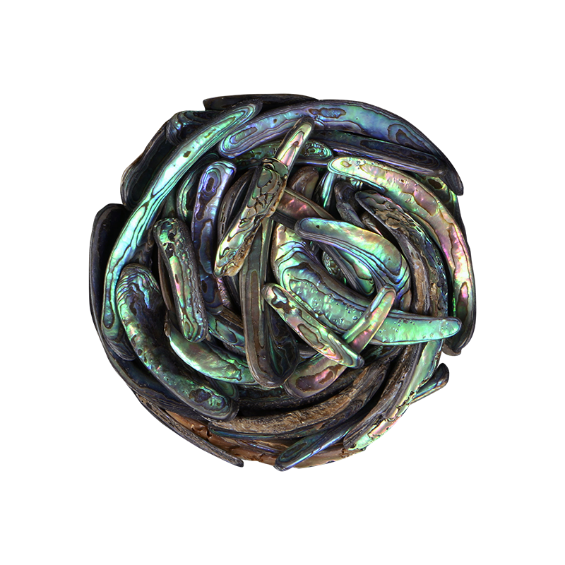 TPSRU - PAUA RIMS UNSORTED - OCEAN SHELL STUDIOS
