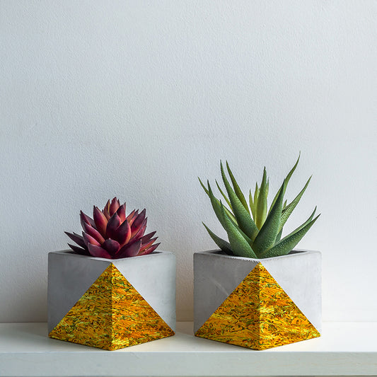 VCPIY200_2 - RETAIL READY - SHELL VENEER COATED - PAUA IMPERIAL YELLOW - OCEAN SHELL STUDIOS