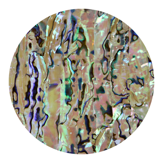 VCPNXL230 - SHELL VENEER COATED - PAUA NATURAL EXTRA LIGHT - OCEAN SHELL STUDIOS