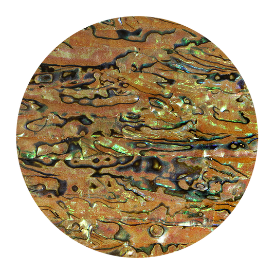 VCPTE200 - SHELL VENEER COATED - PAUA TIGERS EYE - OCEAN SHELL STUDIOS