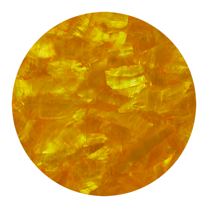 VCWCY200 - SHELL VENEER COATED - WMOP CITRINE YELLOW - OCEAN SHELL STUDIOS