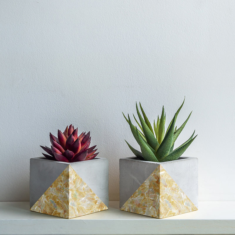 VCWGD200_2 - SHELL VENEER COATED - WMOP NATURAL GOLD - OCEAN SHELL STUDIOS