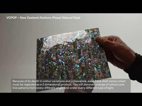 SHELL VENEER COATED - PAUA NATURAL OPAL