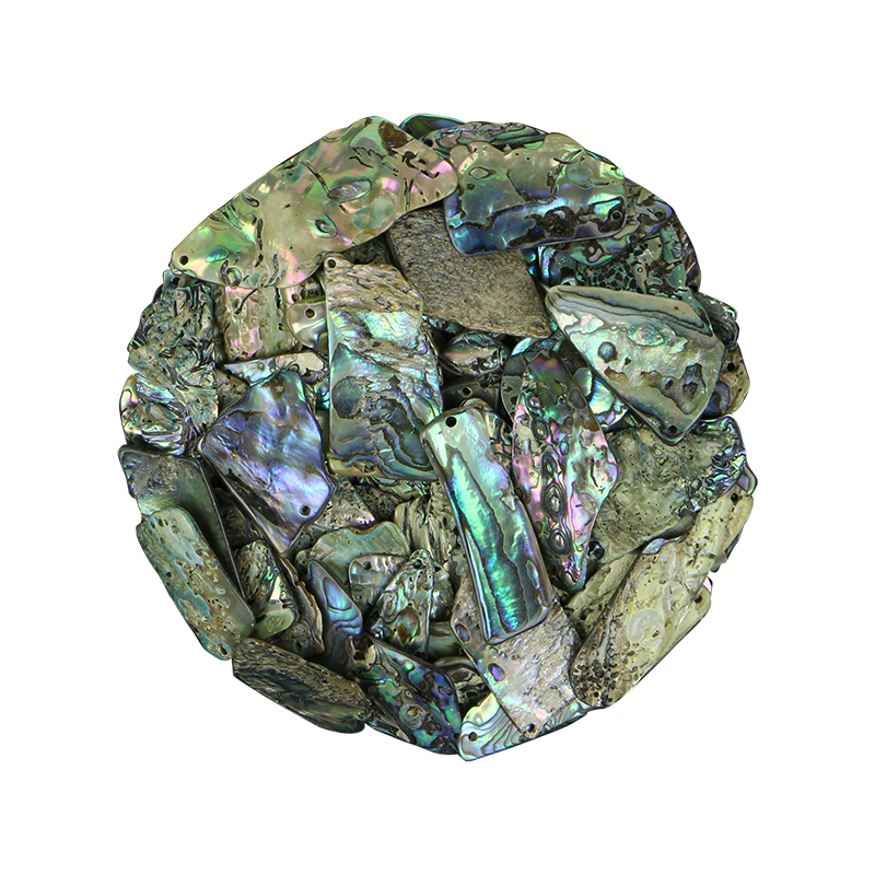 Paua Drilled Gloss