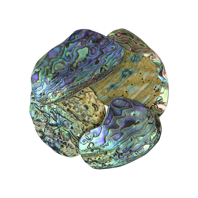 Paua Satin