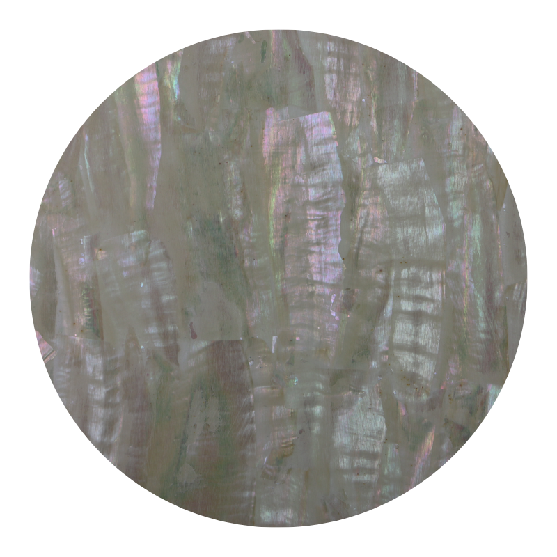 Australian Abalone Uncoated Veneer