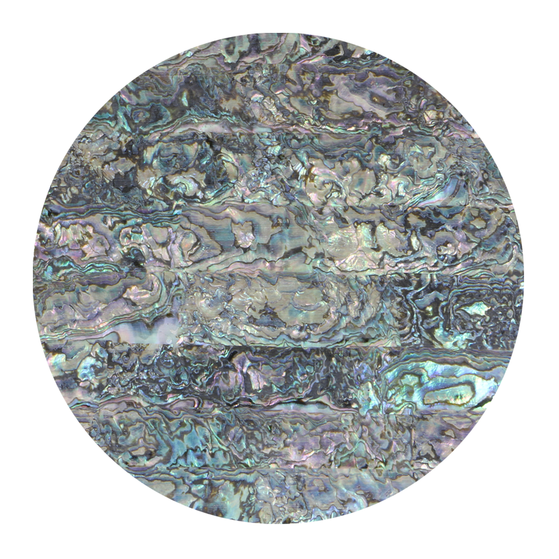 Mexican Abalone Uncoated Veneer