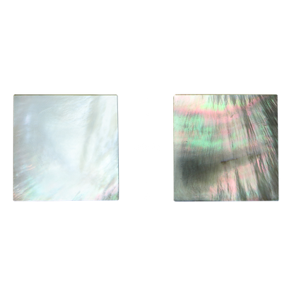 BBSFC225-1.5_2 - BMOP - SQUARE - FLAT, CLEAN BACK, POLISHED 2 SIDES - OCEAN SHELL STUDIOS