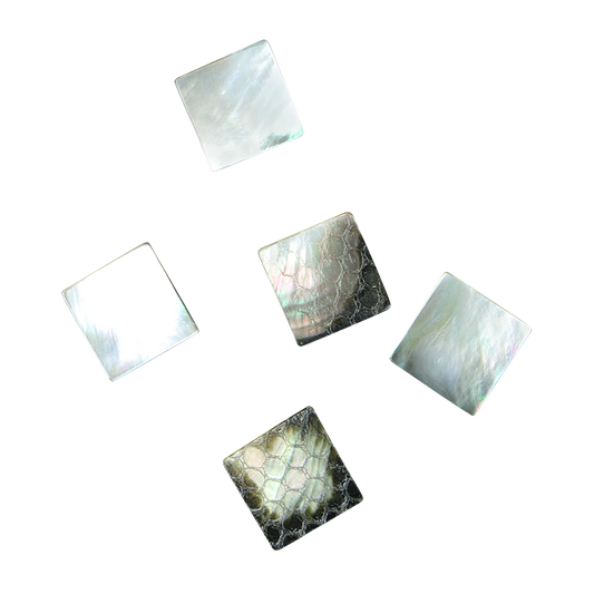 BBSFG125-1.5 - BMOP - SQUARE - FLAT, GROUND BACK, POLISHED 1 SIDE - OCEAN SHELL STUDIOS