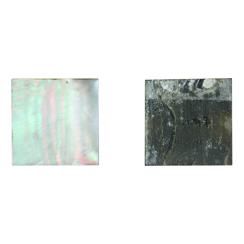 BBSFG125-1.5_2 - BMOP - SQUARE - FLAT, GROUND BACK, POLISHED 1 SIDE - OCEAN SHELL STUDIOS