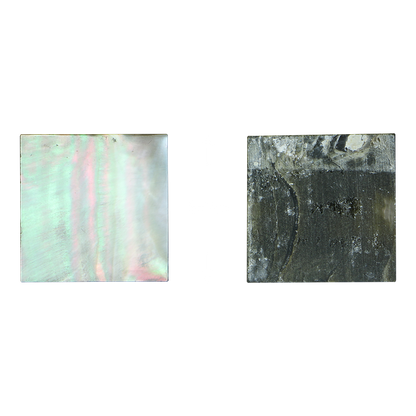 BBSFG125-1.5_2 - BMOP - SQUARE - FLAT, GROUND BACK, POLISHED 1 SIDE - OCEAN SHELL STUDIOS