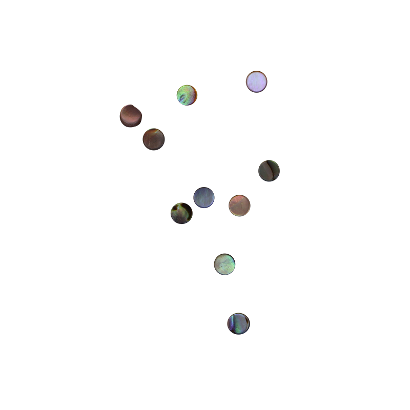 BPCFCT3 - PAUA - CIRCLE - FLAT, CLEAN BACK - OCEAN SHELL STUDIOS